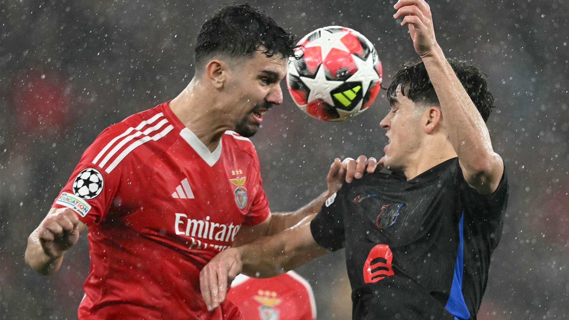 仅展示了小 仅展示了小