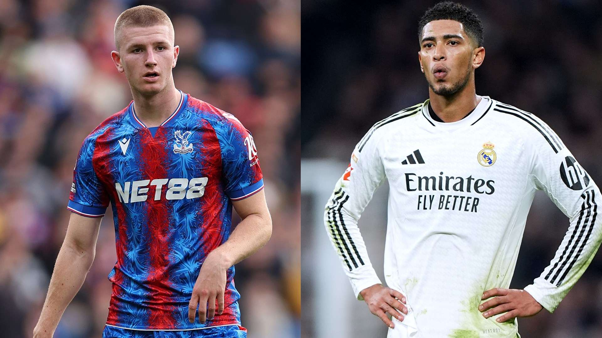 阿萊抗癌成 阿萊抗癌成